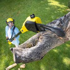 Organic Lawn Care Solutions in Lockland, OH