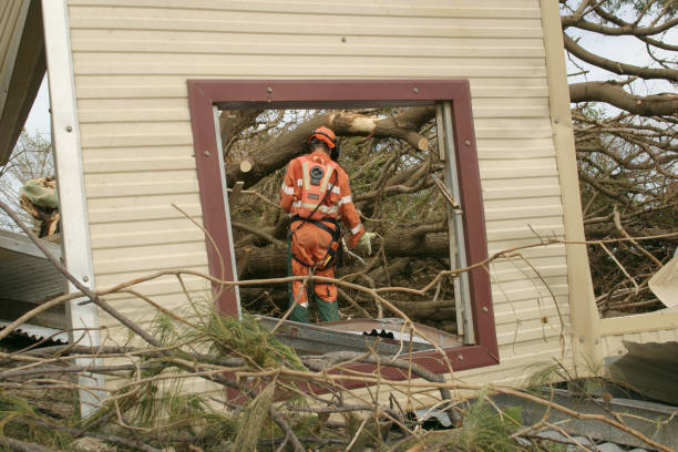 Best Tree Disease Treatment  in Lockland, OH